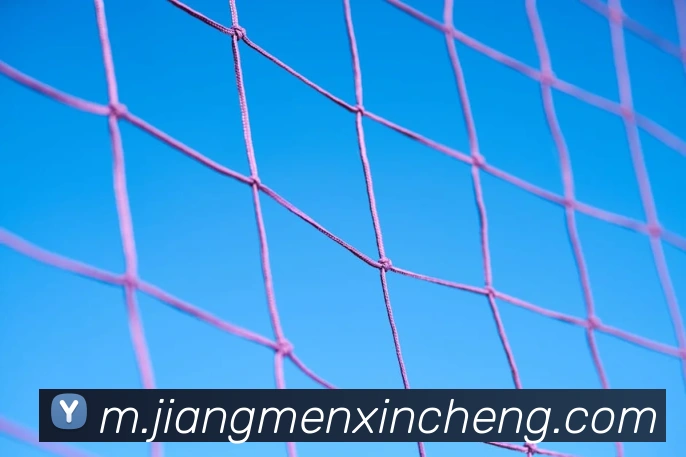 核心证书